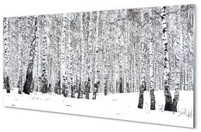 Obraz plexi Zimný brezy 100x50 cm
