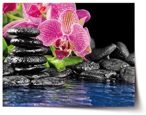 Sablio Plagát Orchidea na kameňoch - 90x60 cm