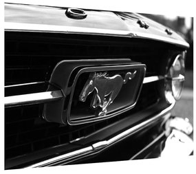 Detailný obraz automobilu značky Mustang (70x50 cm)