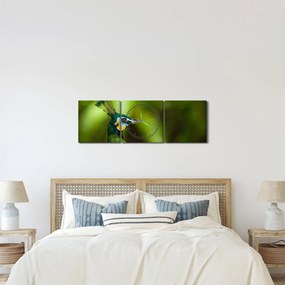 Obraz páva (s hodinami) (90x30 cm)