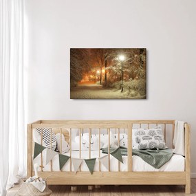 Obraz - Zasnežený park (90x60 cm)