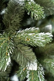 Limpol Vianočný stromček borovica Lamia 170 cm