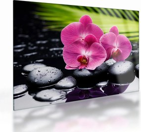 Sklenený obraz - Ružové orchidey s palmovým listom (70x50 cm)