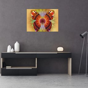 Sklenený obraz - Etno motýľ (70x50 cm)