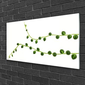 Obraz na skle Dekoratívne rastlina 125x50 cm