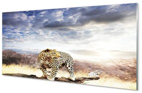 Obraz na skle panter mraky 125x50 cm
