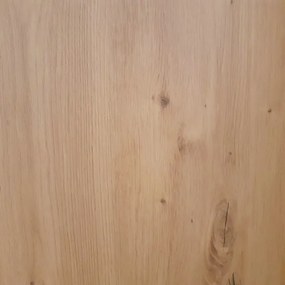 Šatníková skriňa Carlos 150/61 2D, dub artisan, 150 cm