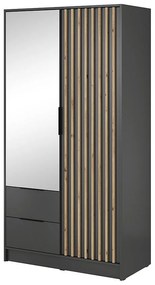 Skriňa Nelly 2d Zrkadlo Grafit/Artisan
