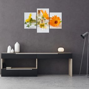 Obraz oranžových kvetín (90x60 cm)