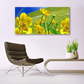 Obraz na akrylátovom skle Lúka kvety dúha príroda 120x60 cm