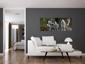Obraz - Vlci na skale (120x50 cm)