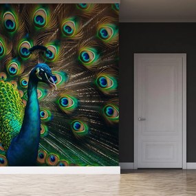 Fototapeta - Páv (147x102 cm)