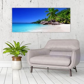 Obraz pláže na Praslin ostrove (120x50 cm)