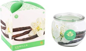 ARÔME Vanilla Množství: 4 ks