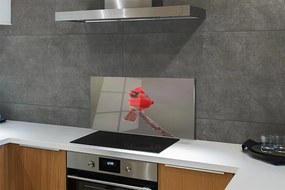 Nástenný panel  Red papagáj na vetve 140x70 cm