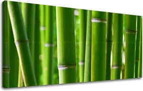 Obraz na stenu PANORÁMA RASTLINY RA017E13