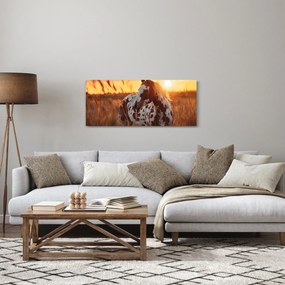 Obraz - Kôň pri západe slnka (120x50 cm)