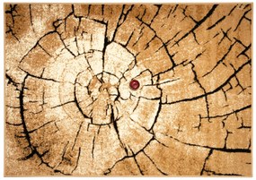 Alfa Carpets, Kusový koberec Superwood brown, 160x230, hnedá, chodba / predsieň