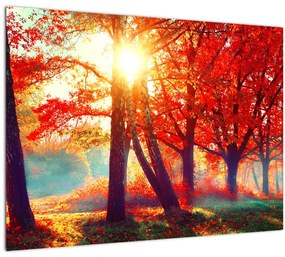 Obraz - Jesenná krajina (70x50 cm)
