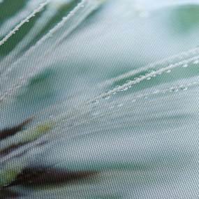 Obraz - Detail kvetu (90x60 cm)