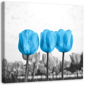 Gario Obraz na plátne Modré tulipány Rozmery: 30 x 30 cm