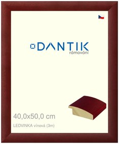 DANTIK rám na obraz 40x50 | LEDVINKA vínová (Sklo Čiré)