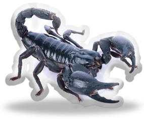 Sablio 3D vankúš Škorpión