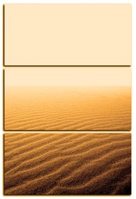 Obraz na plátne - Piesok v púšti - obdĺžnik 7127FB (90x60 cm  )