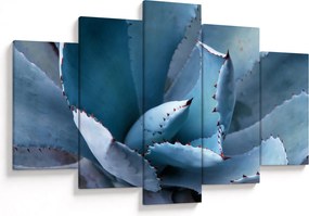 Obraz - Agáve (150x105 cm)