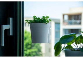 Plastové závesné a nástenné kvetináče v súprave 2 ks ø 10 cm – Esschert Design