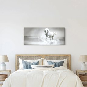 Obraz - Biely kôň (120x50 cm)