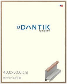 DANTIK rám na obraz 40x50 | ALU Dýha ořech raw (Plexi Čiré)