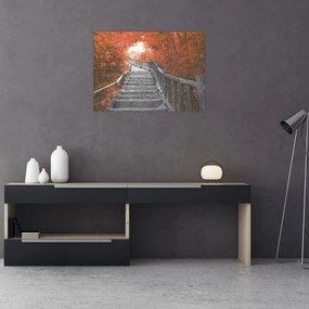 Sklenený obraz - Schody v prírode, oranžová (70x50 cm)