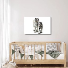 Obraz - Biely tiger (90x60 cm)