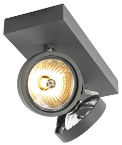 Dizajnové bodové svetlo sivé nastaviteľné 2-svetlo - Go