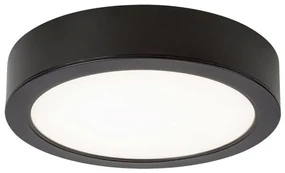 Rabalux 2692 - LED Kúpeľňové stropné svietidlo SHAUN LED/24W/230V pr. 22 cm IP44 RL2692
