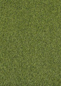 Koberce Breno Umelá tráva SPECTAL 2015, šíře role 400 cm