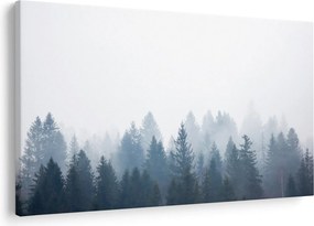 Obraz - Zahmlený les (90x60 cm)