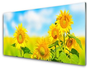 Obraz plexi Slnečnica kvety príroda 100x50 cm