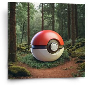 Sablio Obraz Pokemon ball Les - 110x110 cm