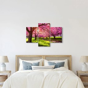 Obraz rozkvitnutých čerešní, Hurd Park, Dover, New Jersey (90x60 cm)