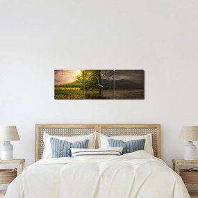 Obraz - Kolobeh života (s hodinami) (90x30 cm)