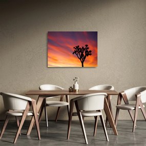 Sklenený obraz západu slnka nad siluetou stromu (70x50 cm)