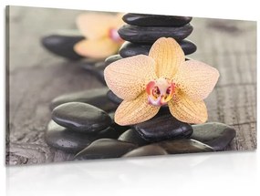 Obraz žltá orchidea a Zen kamene