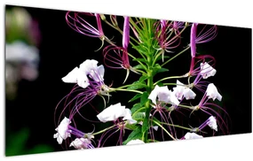 Obraz kvetu (120x50 cm)