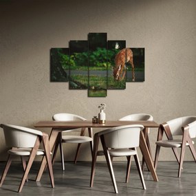 Obraz srnky (150x105 cm)
