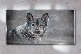 Skleneny obraz Zimné sneh zvieracie vlka pes
