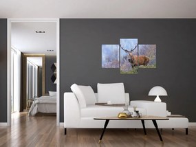 Obraz - Jeleň v krajine (90x60 cm)
