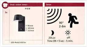 Paulmann 94453 - LED/6W IP44 Vonkajšie nástenné svietidlo so senzorom CAPEA 230V