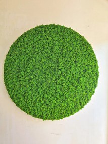 Machový obraz kruh v tenkom bielom ráme, Priemer machového obrazu ∅ 60cm